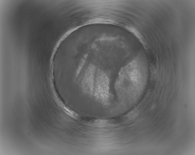 X0000073411371200608111314