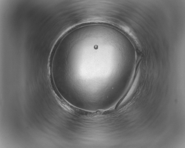 X0000073411372200608111314