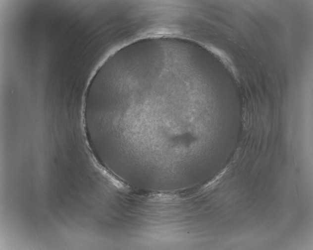 X0000073411374200608111314