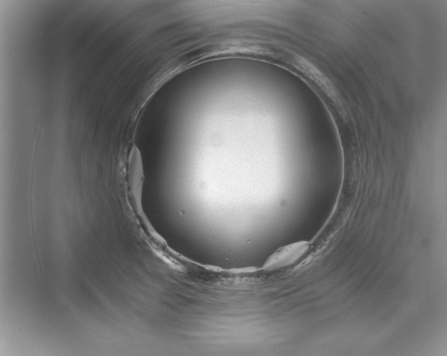 X0000073411377200608111314