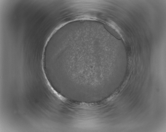 X0000073411379200608111314