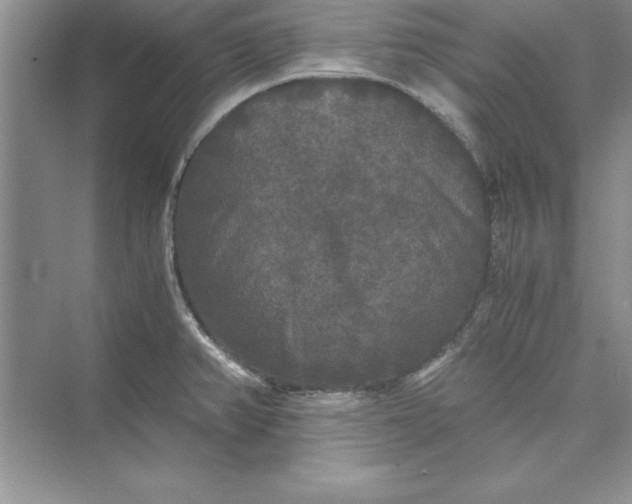 X0000073411382200608111314