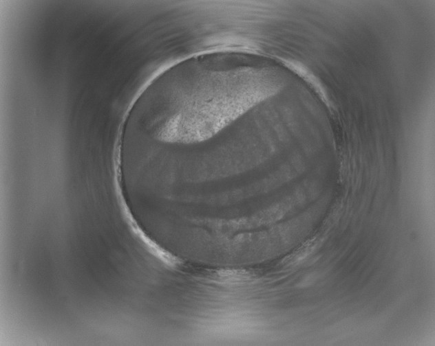 X0000073411383200608111314