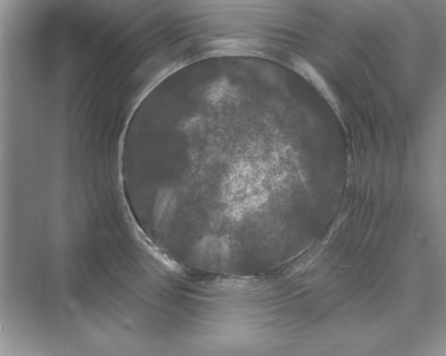 X0000073411386200608111314