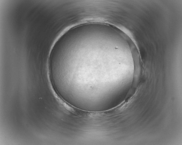 X0000073411389200608111313