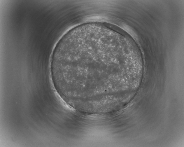 X0000073411392200608111313