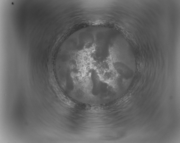 X0000073411393200608111313