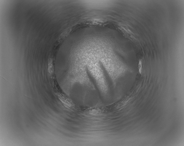 X0000073411395200608111313