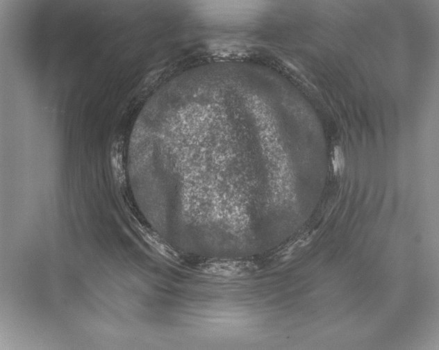 X0000073411396200608111313