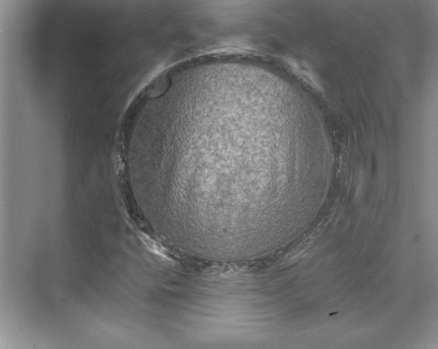 X0000073411400200608111313