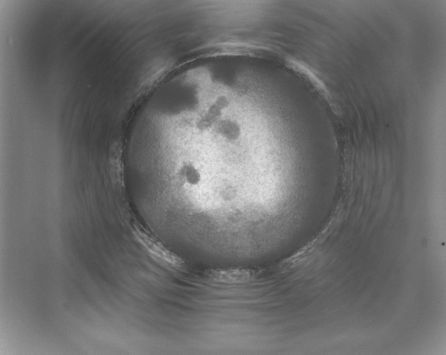 X0000073411403200608111313