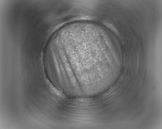 X0000073411404200608111313