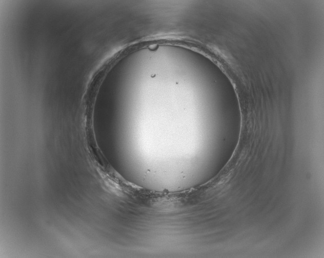 X0000073411406200608111313