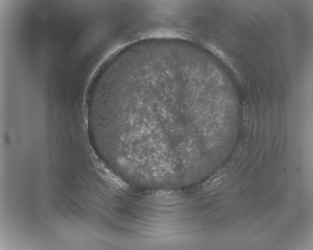 X0000073411408200608111313