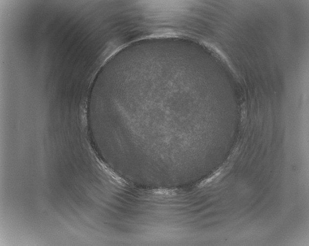 X0000073411409200608111313