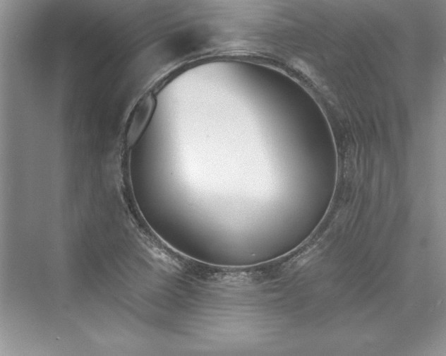 X0000073411410200608111313