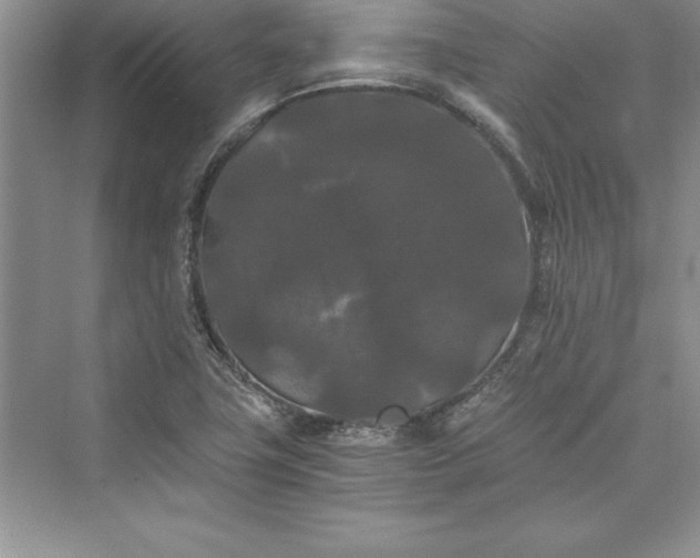 X0000073411411200608111313