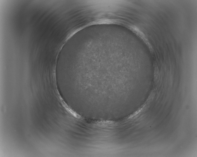 X0000073411417200608111313