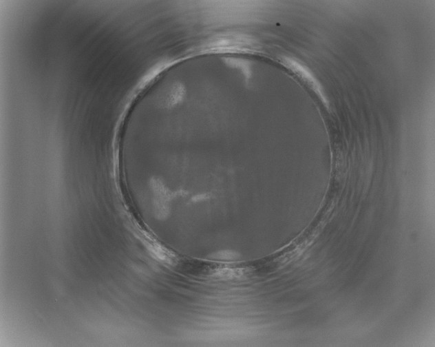 X0000073411419200608111313