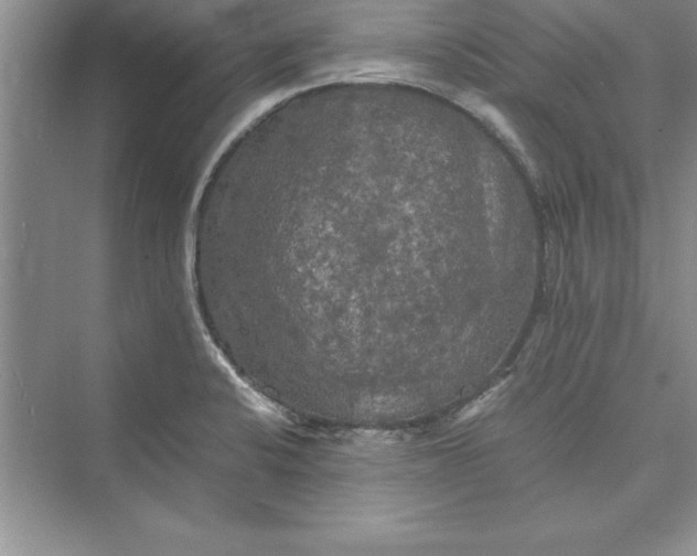 X0000073411424200608111313