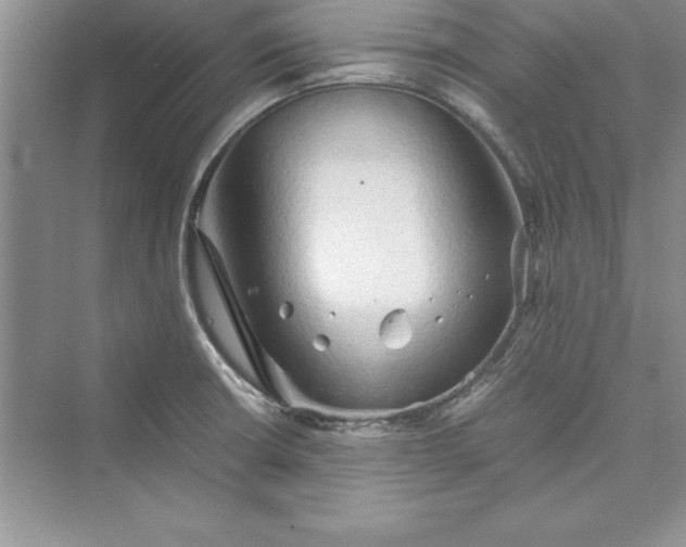 X0000073411426200608111313