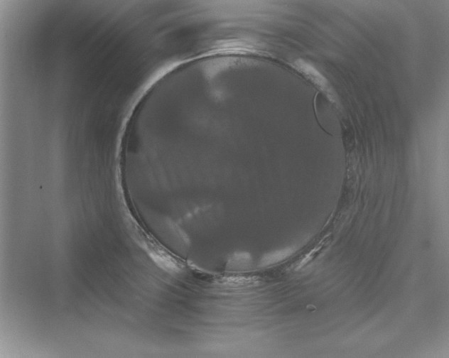 X0000073411427200608111313