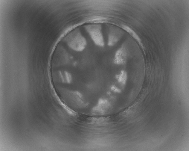 X0000073411429200608111313