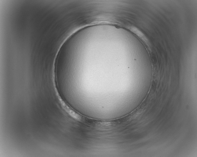 X0000073411431200608111313