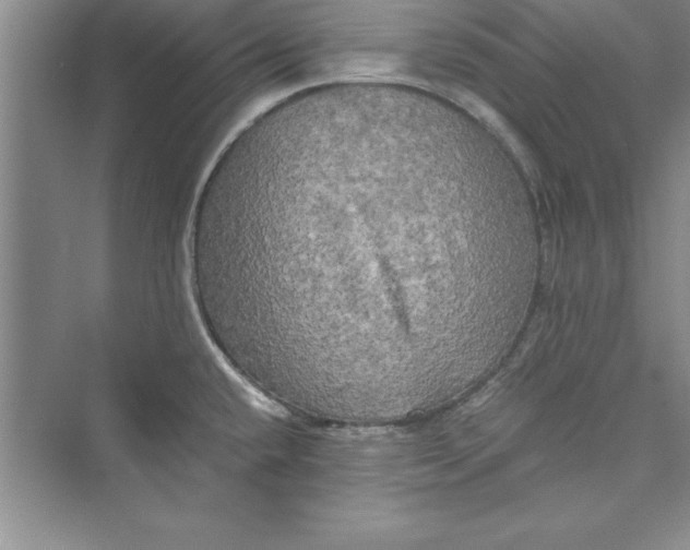 X0000073411432200608111313