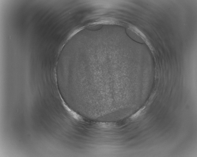 X0000073411433200608111313