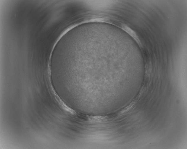 X0000073411436200608111313