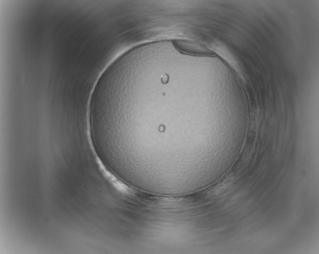 X0000073411439200608111313