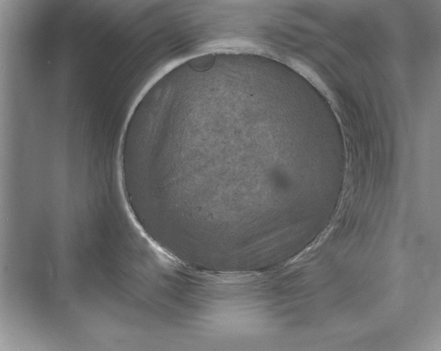 X0000073411440200608111313