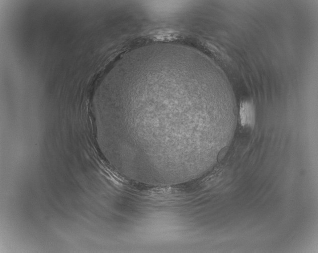 X0000073411444200608111313