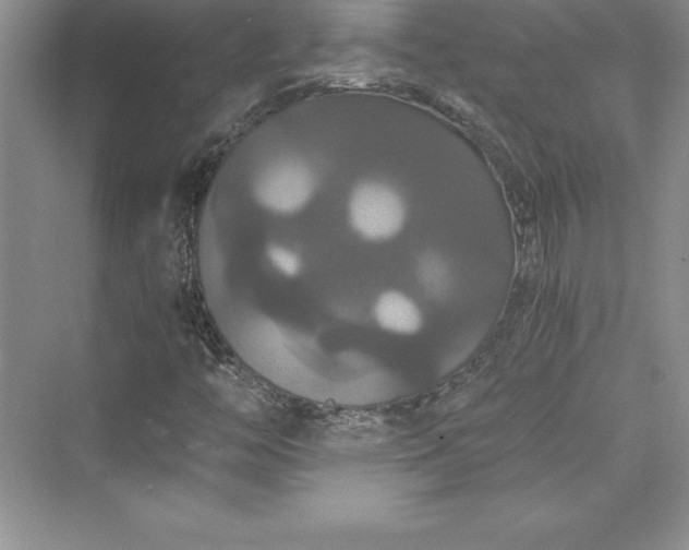 X0000073411446200608111313