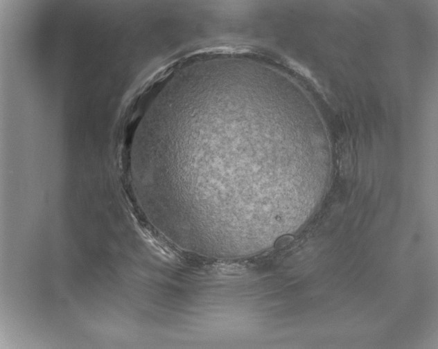 X0000073411448200608111312