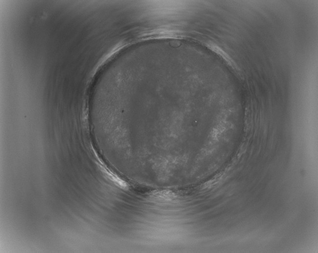 X0000073411450200608111312