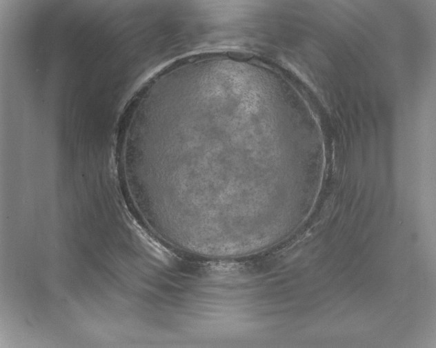 X0000073411452200608111312