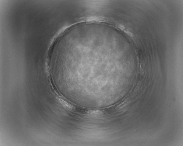 X0000073411454200608111312