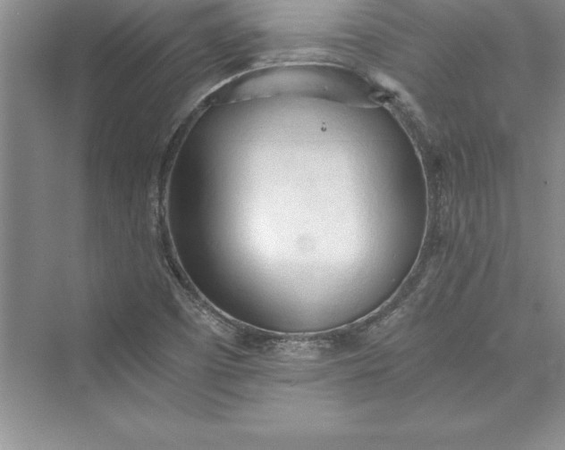 X0000073411457200608111312