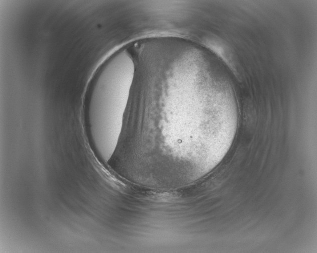 X0000073411460200608111312