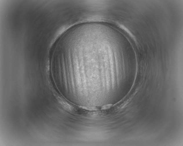 X0000073411461200608111312