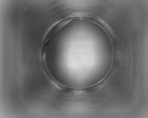 X0000073411465200608111312