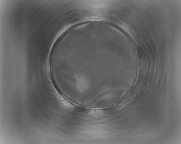 X0000073411466200608111312