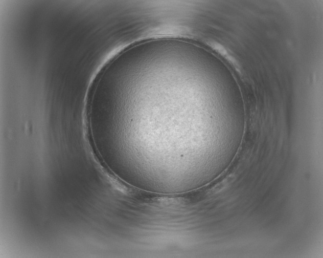 X0000073411469200608111312