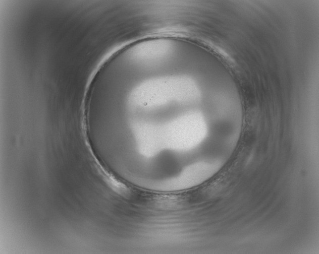 X0000073411470200608111312