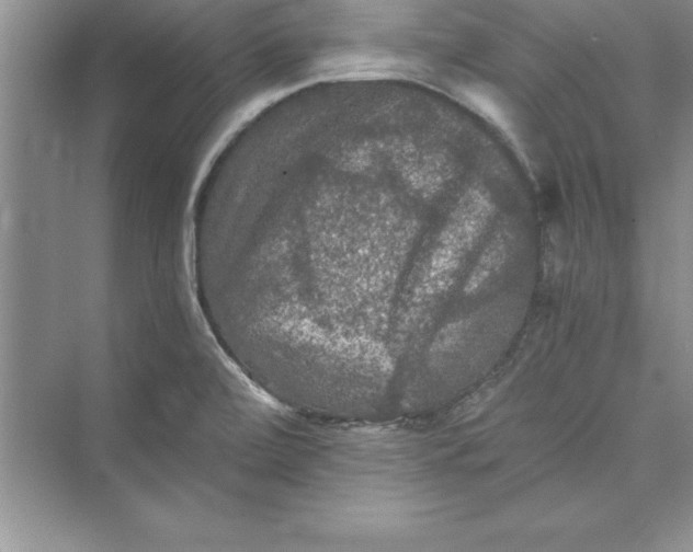 X0000073411472200608111312