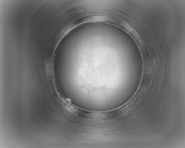 X0000073411473200608111312