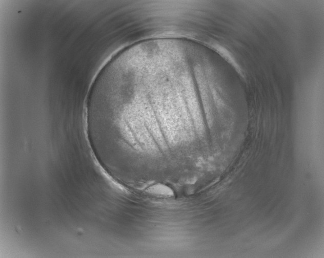 X0000073411476200608111312