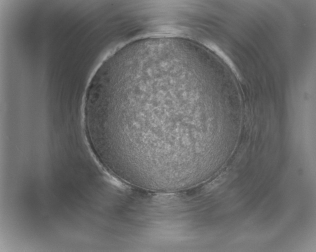 X0000073411477200608111312